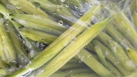 黃花菜