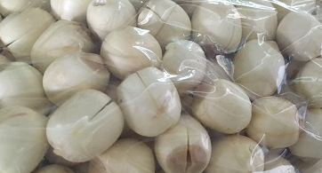 鮮蓮子